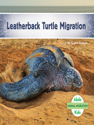 cover image of Leatherback Turtle Migration